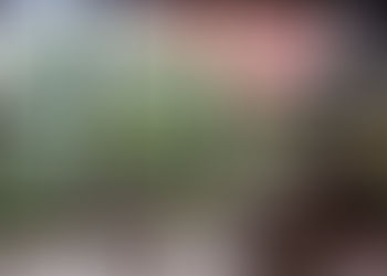 客室「花月」より 奥庭紅葉