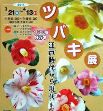 舞鶴自然文化園 ツバキ展 1500種3万本