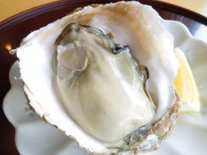 丹後産岩牡蠣 海のミルクを酢の物で