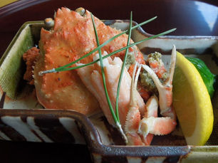 11月6日 松葉ガニ漁解禁 冬の味覚をお泊りで 日帰りで