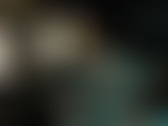 寒中お見舞い申し上げます 庭の雪景色