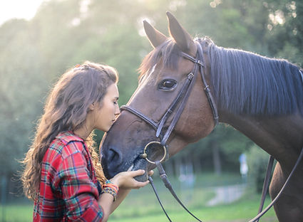 equine assisted psychotherapy