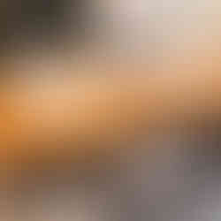 Large live edge redwood slab dining table in a living room.