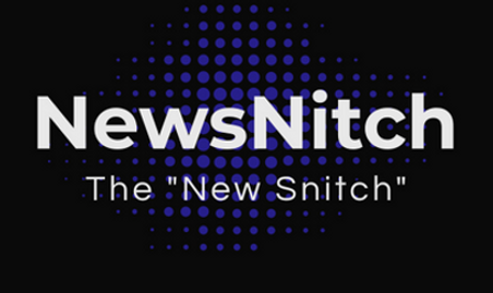 NewsNitch logo