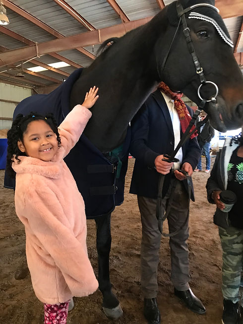horse 2.jpg