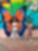butterfly.jpg
