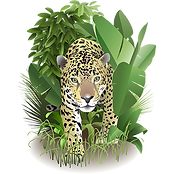sq_animal_leopard.png