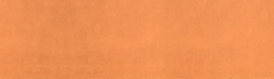 Woman standing against orange wall