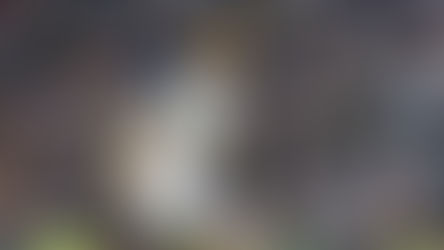 Illarramendi no se vende