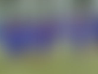 Lucas Alcaraz: "Con el Madrid, tenemos una diferencia de potencial grande"