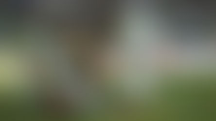 El Betis ya es de primera (3-0)