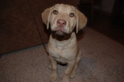 She isn't cute at all.