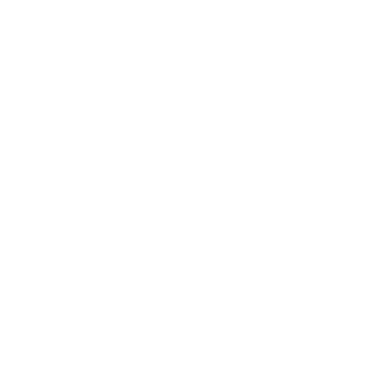 The Blanc Canvas Logo .png