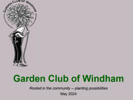 May Mid-month Newsletter, 5/8/24