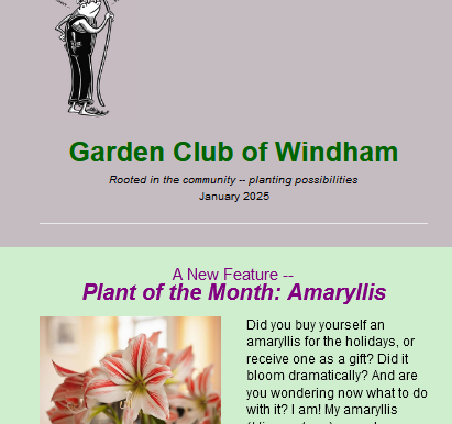 Mid-January Newsletter, 1/16/25