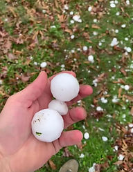 Free Hail Inspections