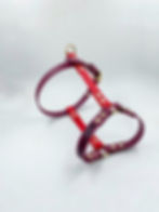 Miniature : Harnais en Y version "Simply"
