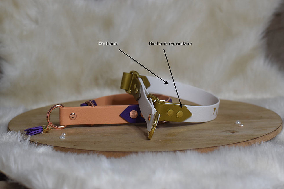 Miniature : Option martingale en biothane
