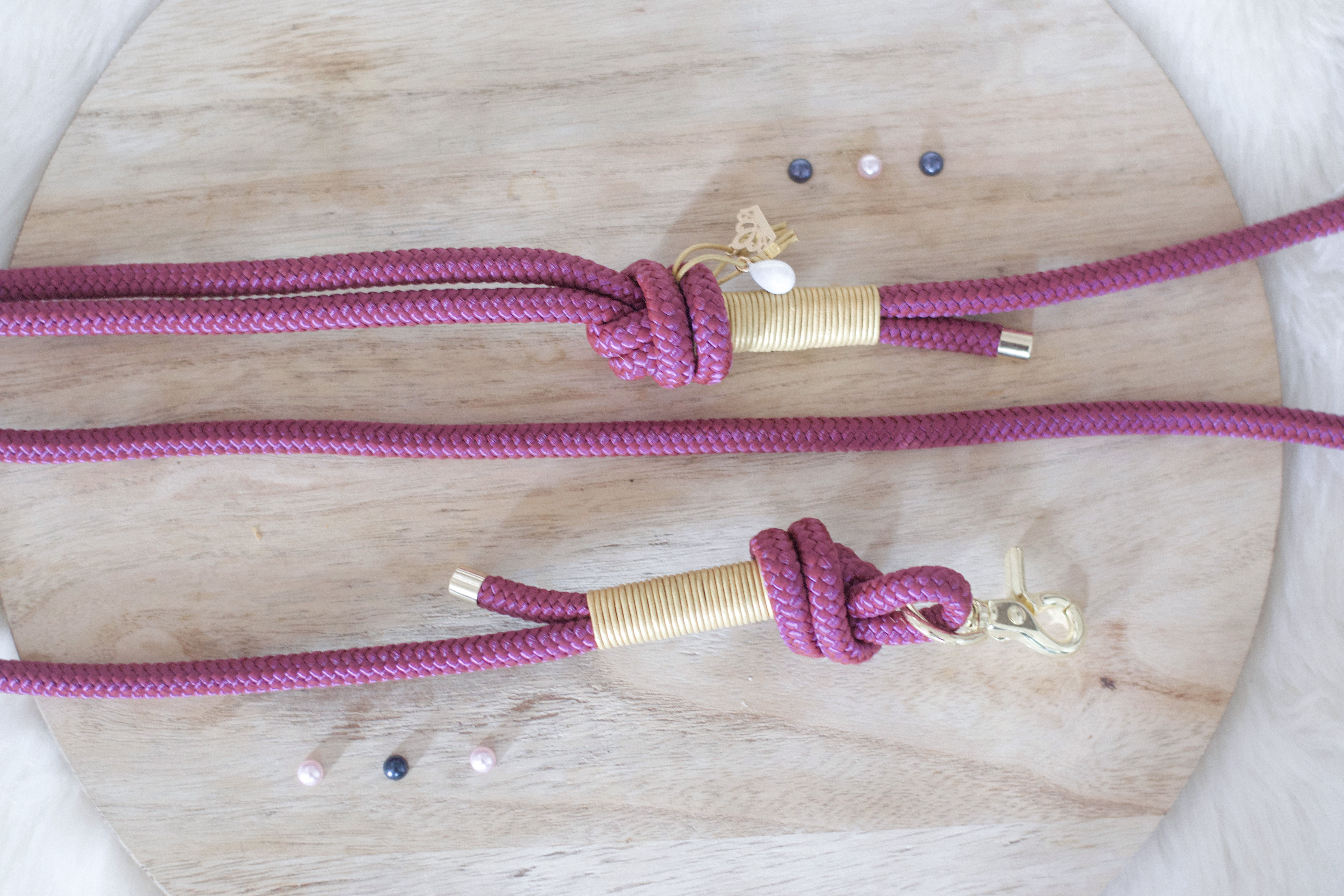 Laisse "Clear"en paracorde