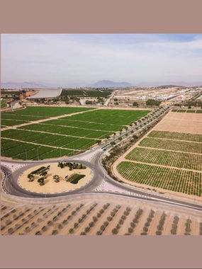 In blijde afwachting.