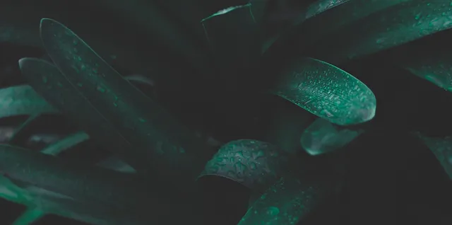 San Luis Obispo Wedding Hair And Makeup Jagged Salon Spa