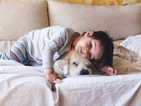 Diseases You Can Catch from Your Pet