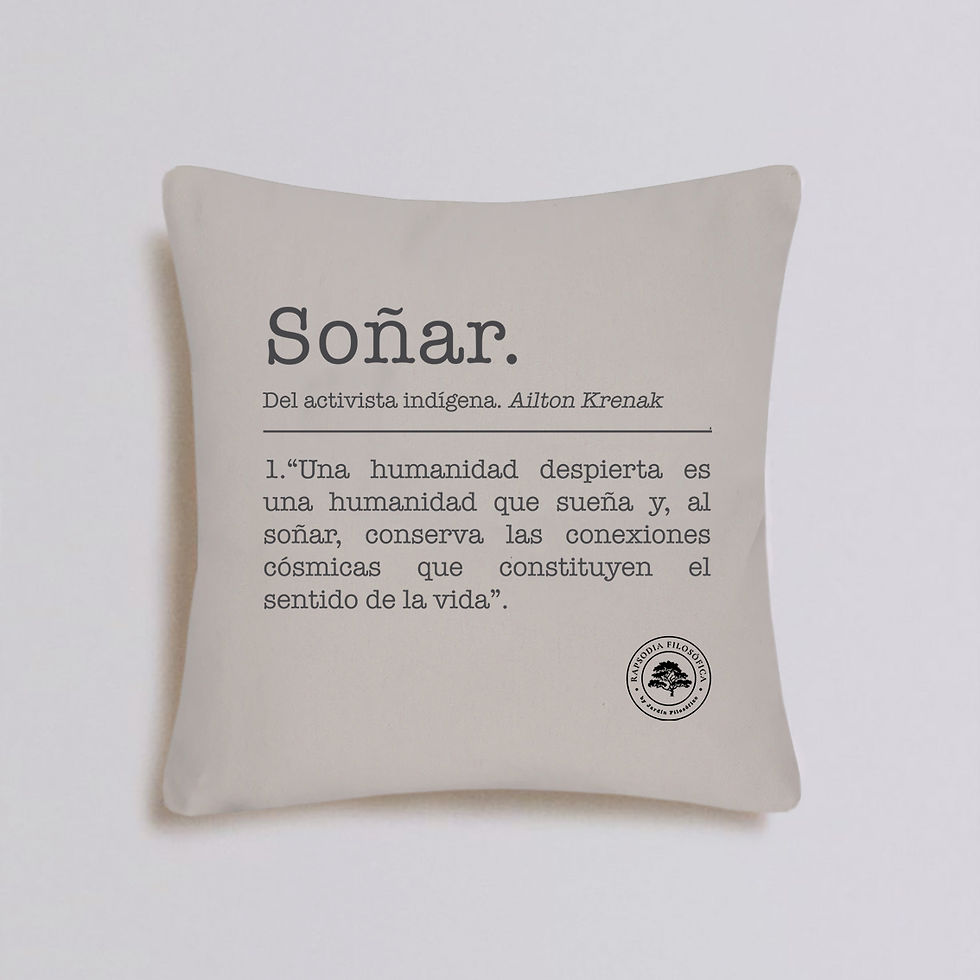 Funda Cojín Soñar.
