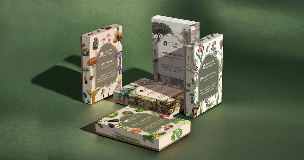 Set de cartas RF.jpg
