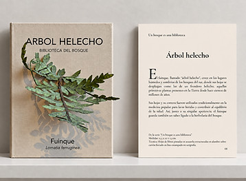 Libro fuinque 2.jpg