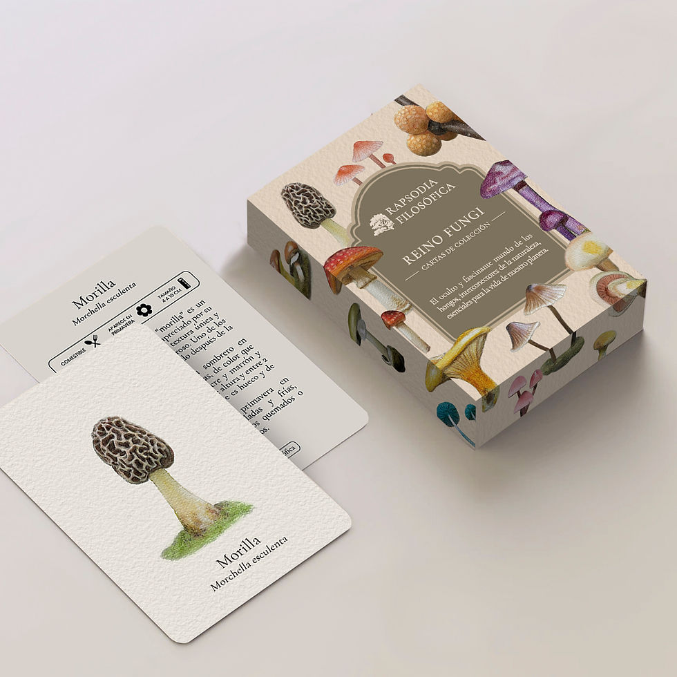 Miniatura: Reino Fungi
