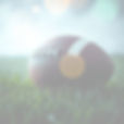 A dramatic picture of an American football on the grass_edited.jpg