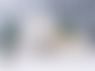 Refusjon for behandling av tannkjøttsykdom 2024