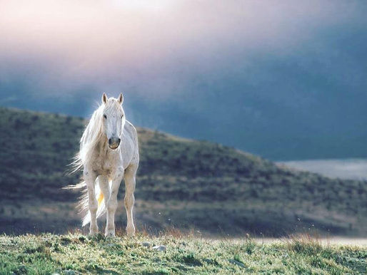 Vedic Astrology Forecast, Mar. 15–Mar. 22