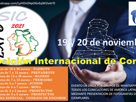 EXPOSIC VIRTUAL 2021