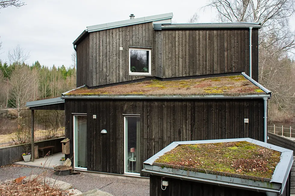 Mörkt träklätt hus med gröna sedumtak i skogsmiljö, modern arkitektur under grå himmel.