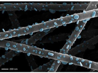 New paper published in Nature Communications!