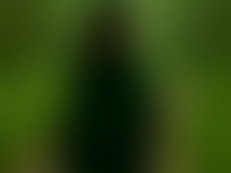 Ich weiss grad nicht...