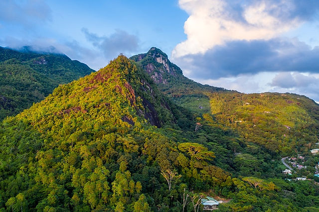 הפארק הלאומי Morne Seychellois במהלך השקיעה, עם הרים טרופיים שופעים, האי מאהה, איי סיישל