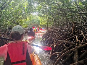 טיול קיאקים באי אמבר (Ile d'Ambre)