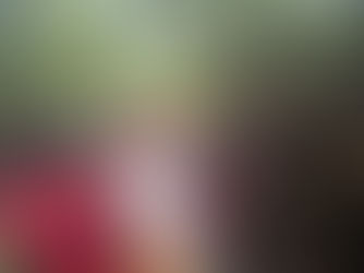 טיול קיאקים באי אמבר (Ile d'Ambre)