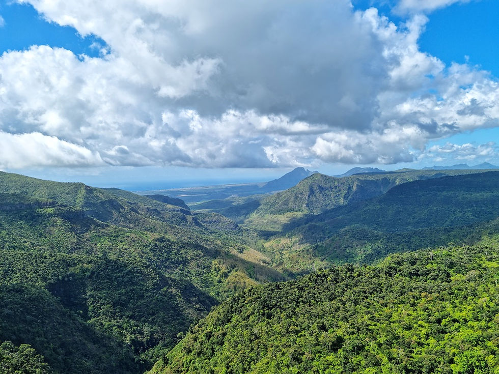 Black River Gorges Viewpoint