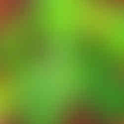 צמחייה ב-Sophie Nature Walk