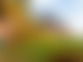 גולף במאוריציוס