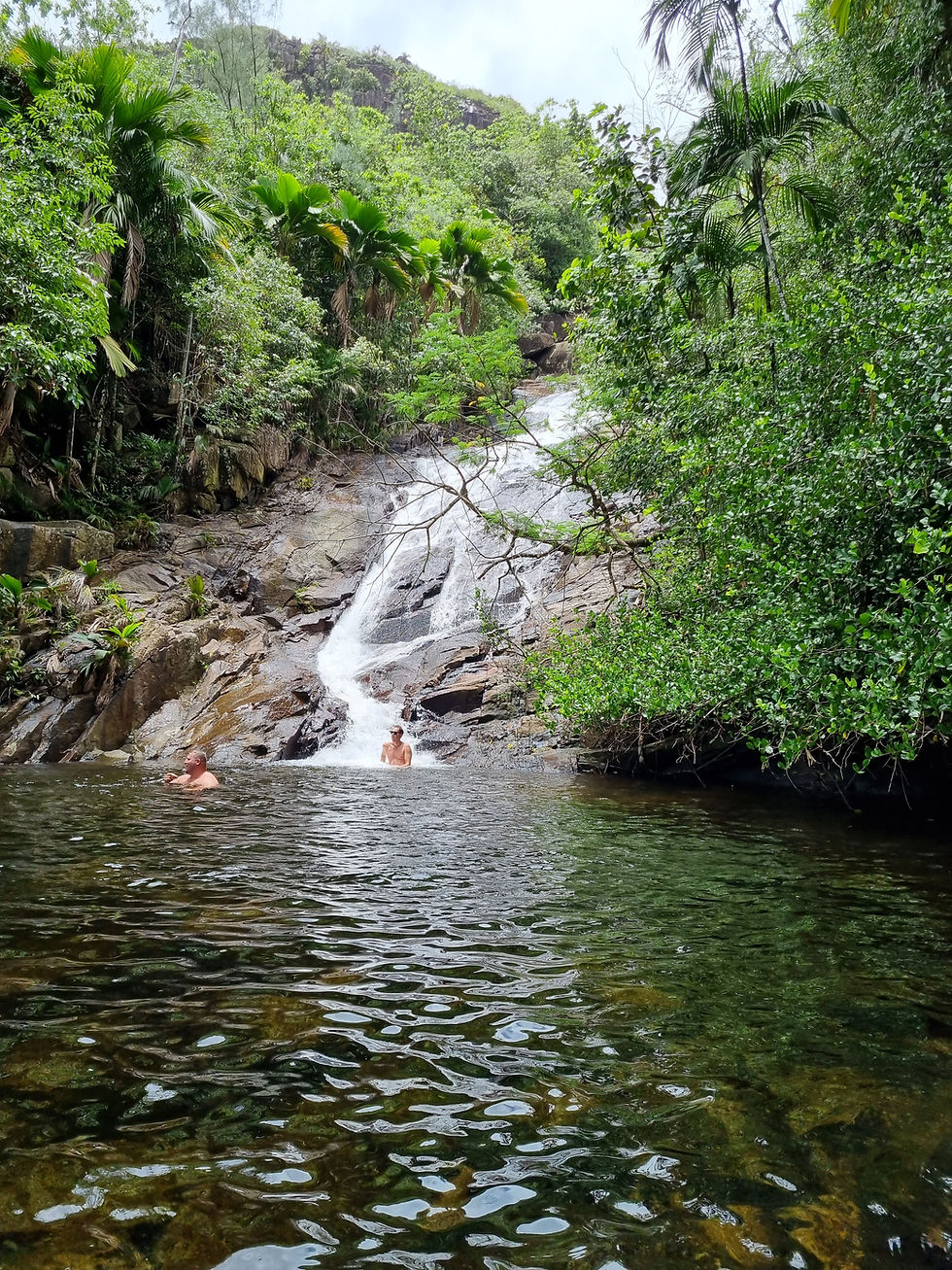 מפל Sauzier Waterfall