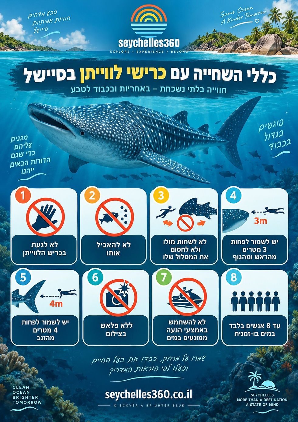 אינפוגרפיקה עם כללי שחייה בטוחים עם כרישי לווייתן בסיישל – שמירת מרחק, איסור מגע והאכלה