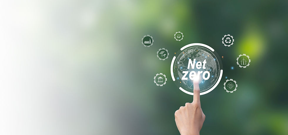netzero_banner.jpg