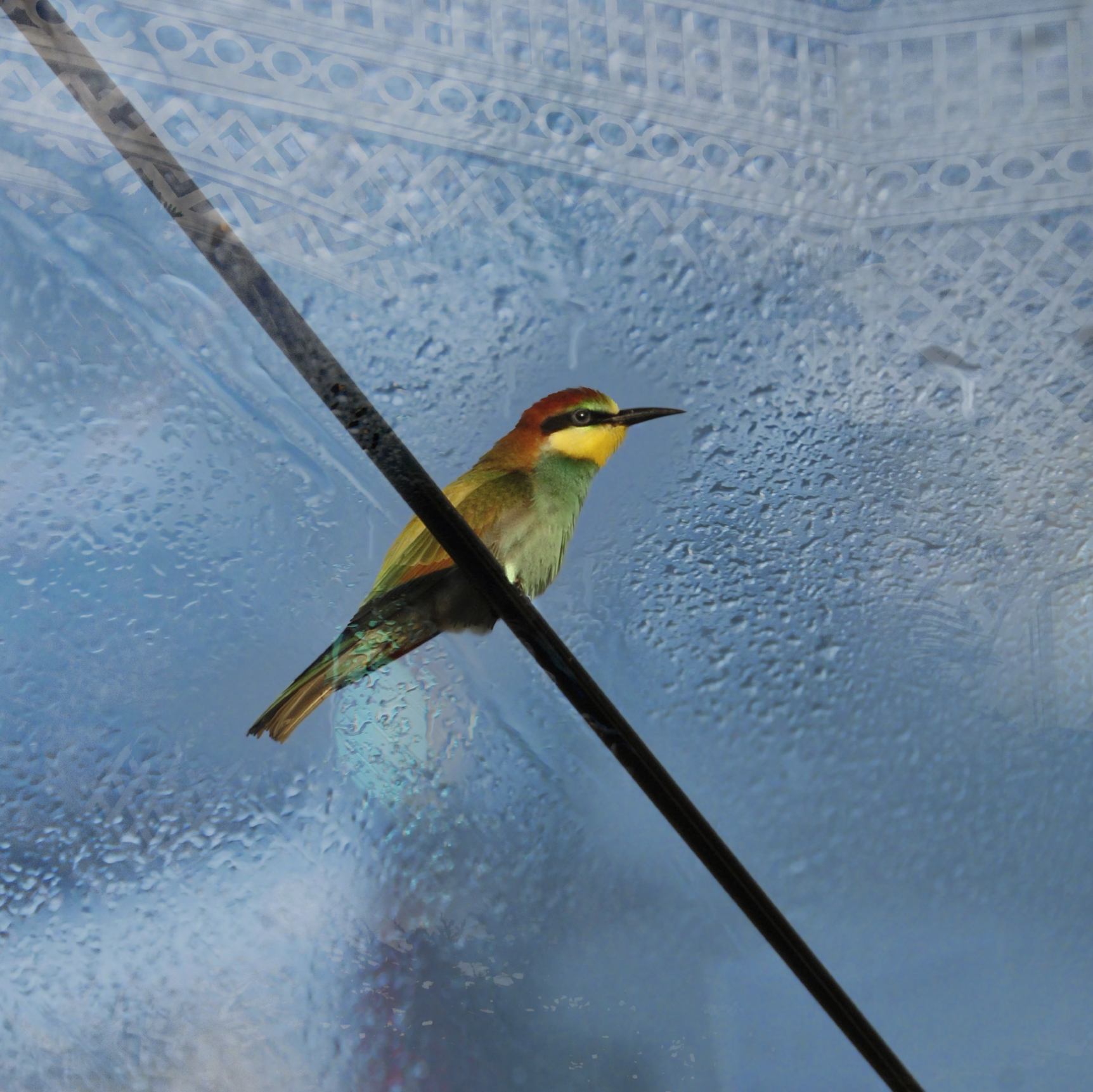 condensation