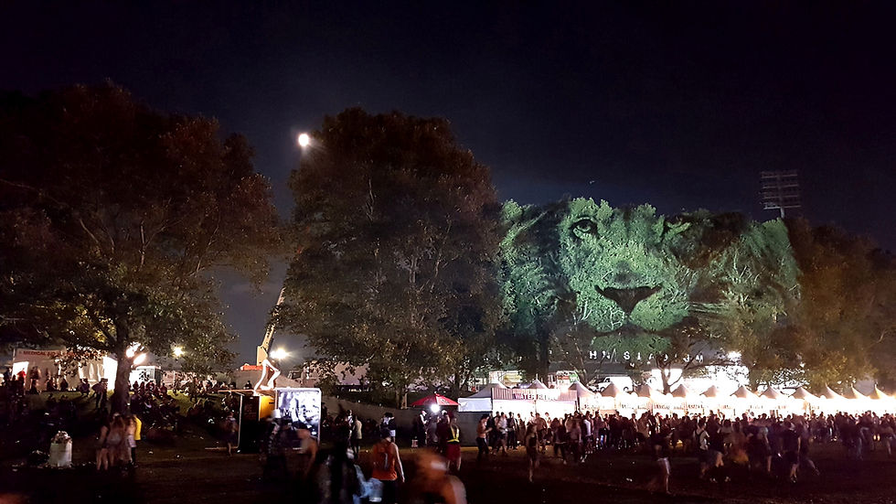 Leon - Electric Zoo Festival - New York