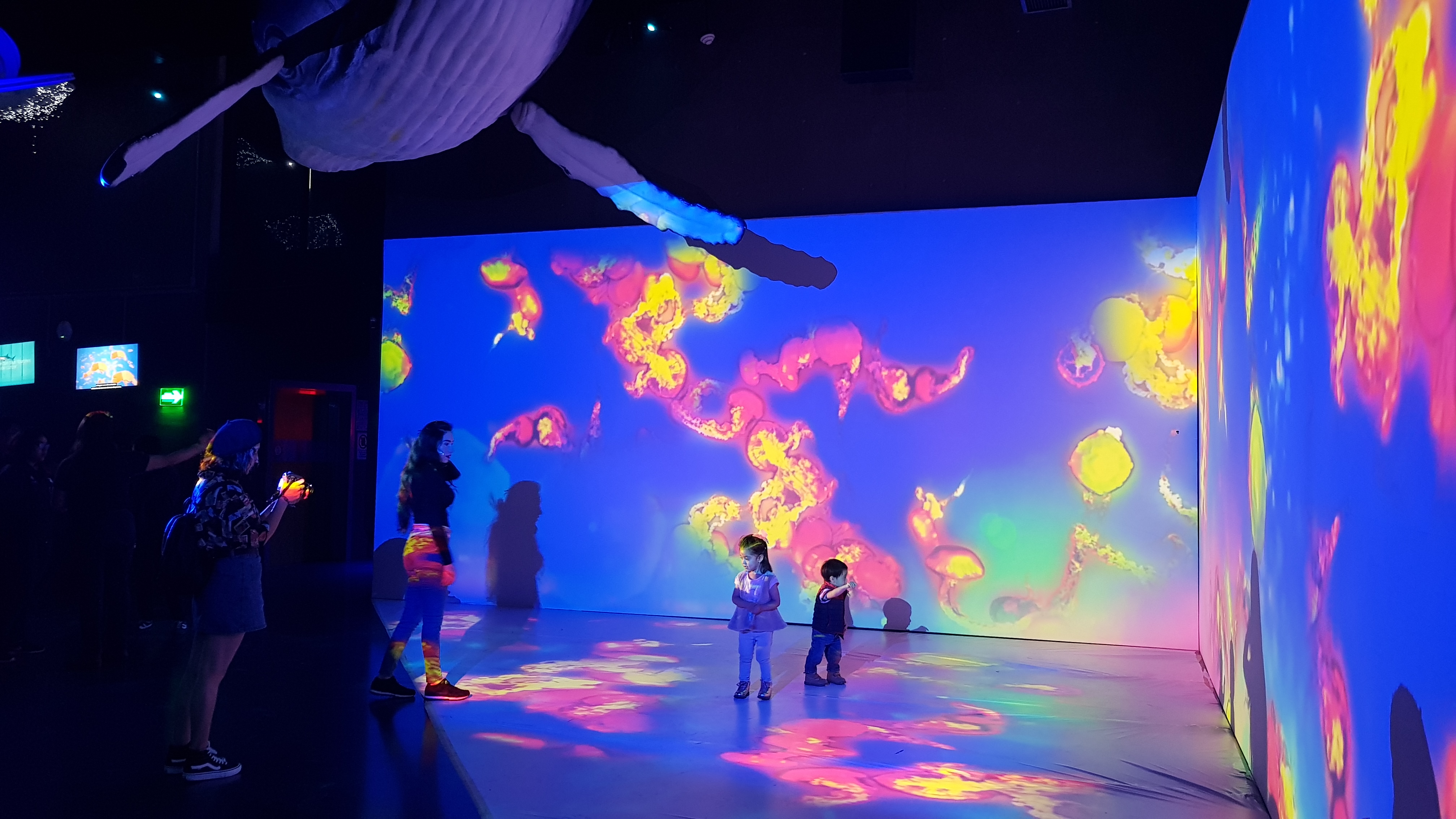 Acuario Virtual - Inbursa