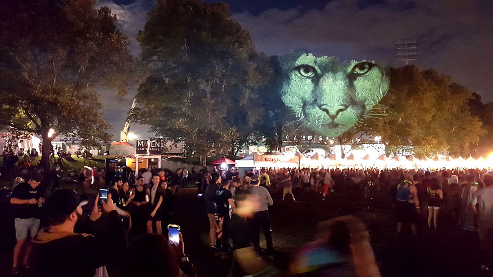 Puma - Electric Zoo Festival - New York